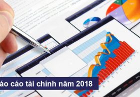 Báo cáo tài chính năm 2018 đã được kiểm toán